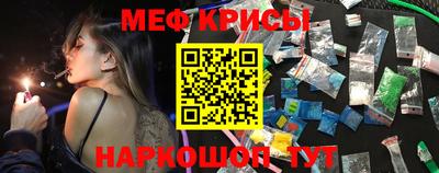 спиды Новодвинск