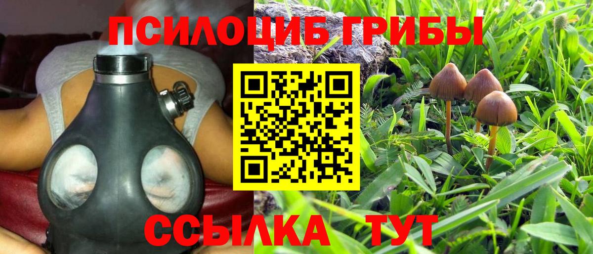 Тобольск  Галлюциногенные грибы Psilocybe  Вход с VPN 